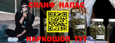 стафф Донецк