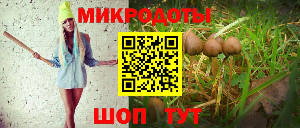 Ртищево  Псилоцибиновые грибы ЛСД  Вход с VPN 